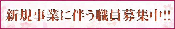 新規事業内容